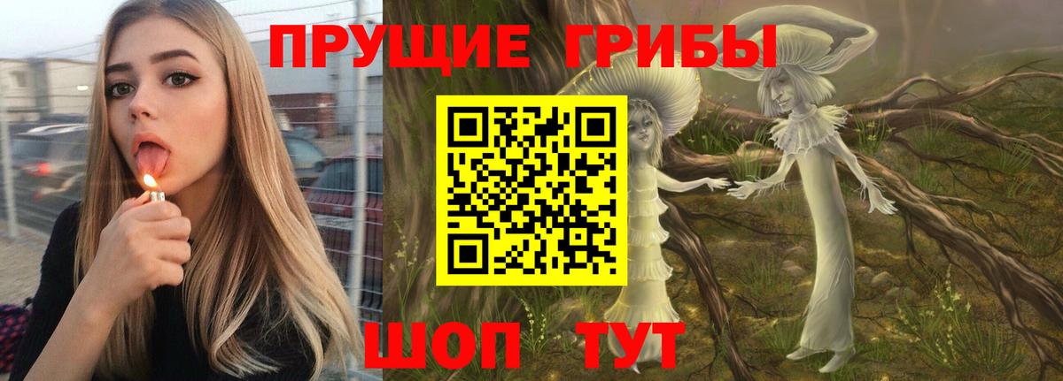 Псилоцибиновые грибы Psilocybine cubensis Кашира
